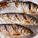 금갈치은고등어 이미지