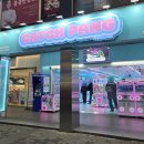 캐치팡(CATCH PANG) 이미지
