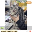 짱구네동물병원 이미지