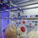 고려게임장 이미지