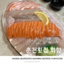 회향 | 춘천횟집 두툼하고 양 많은 회포장 배달 맛집 : 회향 (내돈내산후기)