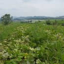 문호농장 이미지