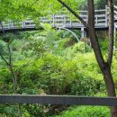 솔바람교 옹달샘 이미지