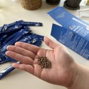 주식회사 스마트바이오 | [포스트 바이오 부스터2 후기] 먹기 편한 환 형태의 장 건강을 위한 성분 좋은 유산균 추천