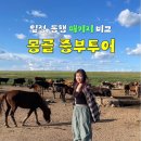 92유황펜션 | 몽골 여행 중부 투어 패키지 비교! 일정 동행