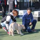 형인농장 네이버블로그