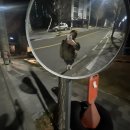 은슬 | 3월 ) 봄을 기다리며