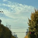 무장애숲 | 무장애노을숲길ㅣ한적하게 걷기 좋은 서울 근교 산책길, 헤이리무장애노을숲길 (+ 헤이리 오티움 카페후기)