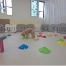 호텔 독스 이미지