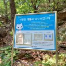 대동사 약수터 이미지