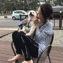 은모래민박 이미지