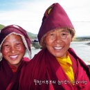 미소여행주 이미지