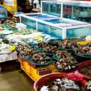 가인 가맹행정사사무소 이미지