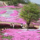 꽃잔디식당 이미지