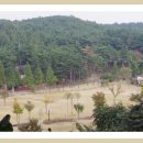 도음산 산림문화수련장 이미지