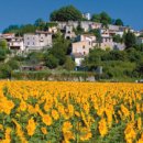 프로방스 이미지