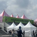 2025 올영페스타 본품 주는 곳 + 꿀팁 대방출 후기!!