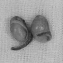 MS동물병원 이미지