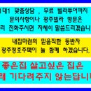 광주-능평-1 네이버블로그