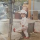포레스타스프링 이미지