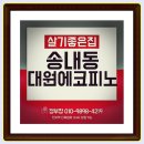 대원에코피노 이미지