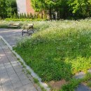 마음에점을찍다 이미지