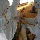 동원환경(1농장) 이미지