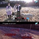 광민목장 이미지