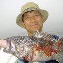 새나루낚시&쉼터