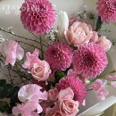 동작 국사봉2길 | 신대방동꽃집 담장아래과꽃 가격 위치 영업시간