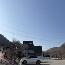 마하리 | 정선 백운산 등산코스 칠족령 전망대 후기(최단코스 환종주코스)