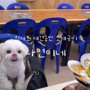 나연이네식당 네이버블로그