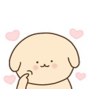 혁신애견미용 이미지