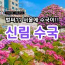 관악구 자전거 스테이션 | 벌써? 수국이!!! 서울 신림 수국트리 실시간 260514