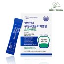 베스트오브그린