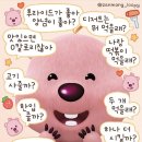 포토시그니쳐