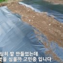 정용목장 네이버블로그