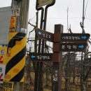 마중생태 이미지