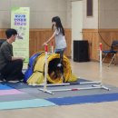 광교2동 행정복지센터 취미교실1 | 수원시 영통구 광교2동, 주민자치회 주관 ‘반려동물 문화교실’ 첫 수업 운영