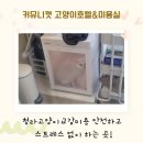 청라고양이교감미용 안전하고 스트레스 없이 하는 곳!