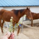 산수농장 이미지