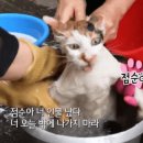 빡빡세차