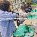 친환경 식물로 소품만들기 | 몽글몽글 피어나는 친환경의 매력, 발포세라믹(도우아트) 화분 만들기 &amp; 다육이 식물심기 수업