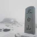 제 103차 정기산행 강원도 태백산 (1567m) 이미지