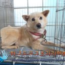 하성로 이미지