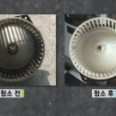 프로크리닝