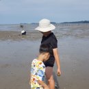 서천 다사항 펜션 이미지