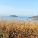 소나무부동산공인중개사사무소 이미지