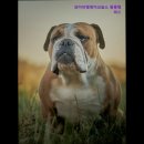 와이비엠영어교습소 - 부천시 소사구 소안로 10 | 와이비엠영어교습소