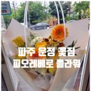 피오레베로